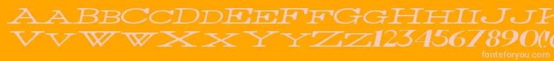 ThinWidestItalic Font – Pink Fonts on Orange Background