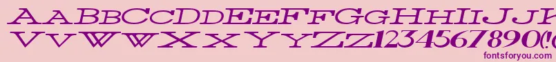 Шрифт ThinWidestItalic – фиолетовые шрифты на розовом фоне
