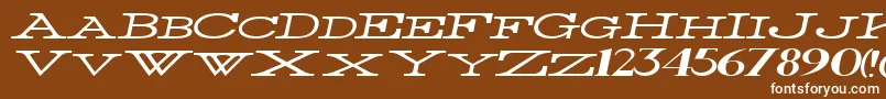 ThinWidestItalic Font – White Fonts on Brown Background