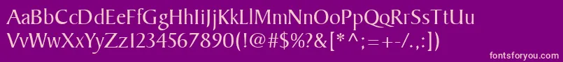 BakerSignetLt Font – Pink Fonts on Purple Background