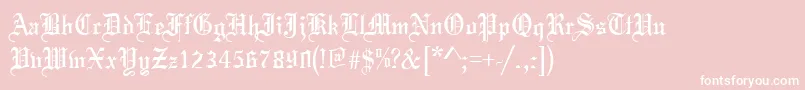 MajboqRegular-Schriftart – Weiße Schriften auf rosa Hintergrund