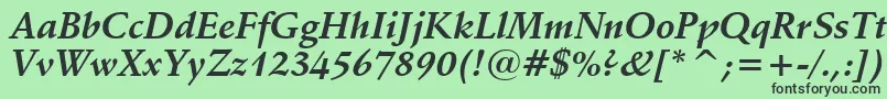SchneidlerBoldItalicBt Font – Black Fonts on Green Background