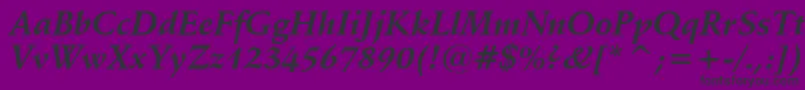 SchneidlerBoldItalicBt Font – Black Fonts on Purple Background