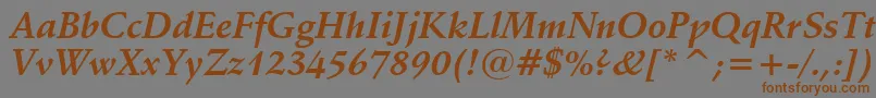 フォントSchneidlerBoldItalicBt – 茶色の文字が灰色の背景にあります。