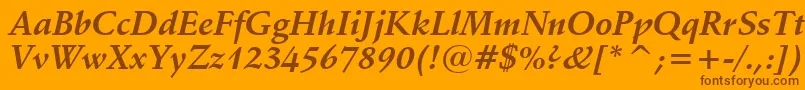 SchneidlerBoldItalicBt Font – Brown Fonts on Orange Background