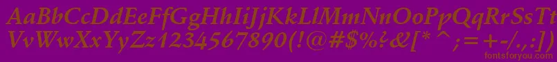 SchneidlerBoldItalicBt Font – Brown Fonts on Purple Background