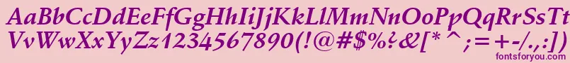 SchneidlerBoldItalicBt Font – Purple Fonts on Pink Background