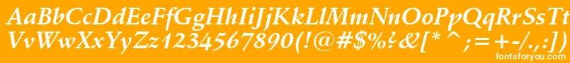 SchneidlerBoldItalicBt Font – White Fonts on Orange Background