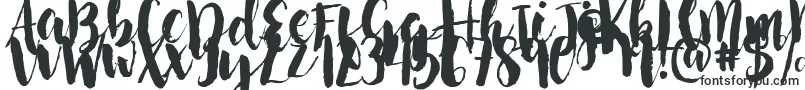 NightingaleSample-fontti – Fontit Macille