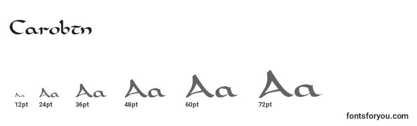 Carobtn Font Sizes