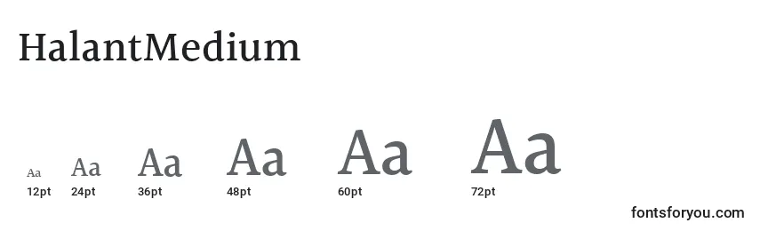 Размеры шрифта HalantMedium