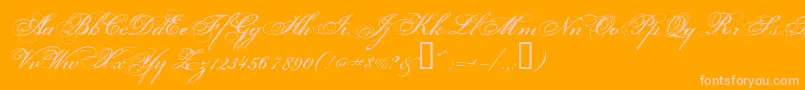 Porcelai-Schriftart – Rosa Schriften auf orangefarbenem Hintergrund