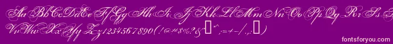 Porcelai Font – Pink Fonts on Purple Background