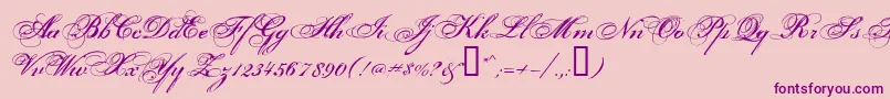 Porcelai Font – Purple Fonts on Pink Background