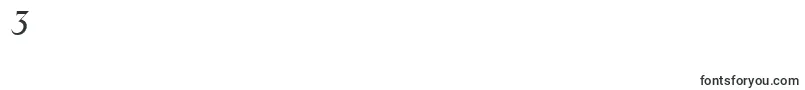 ToledoRegularita Font – Fonts for Digit 3