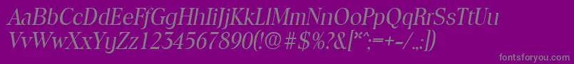 ToledoRegularita Font – Gray Fonts on Purple Background