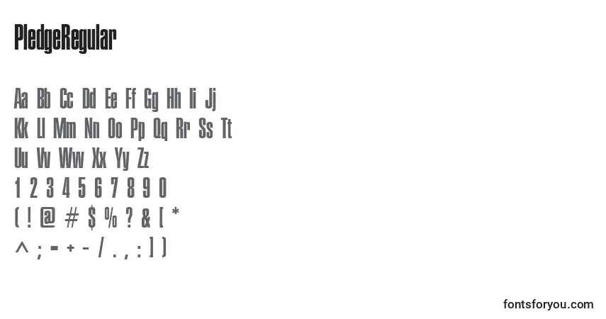Czcionka PledgeRegular – alfabet, cyfry, specjalne znaki