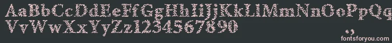 Amltrial Font – Pink Fonts on Black Background