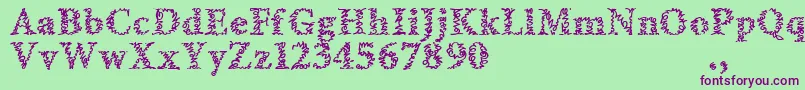 Amltrial Font – Purple Fonts on Green Background