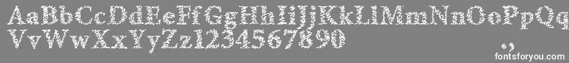 フォントAmltrial – 灰色の背景に白い文字