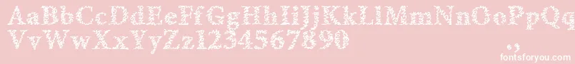 Amltrial Font – White Fonts on Pink Background
