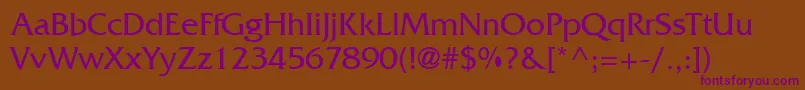 FritzQuadrataCyrillic Font – Purple Fonts on Brown Background