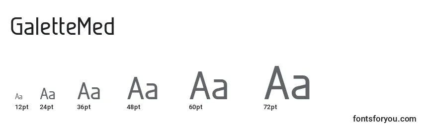 GaletteMed Font Sizes
