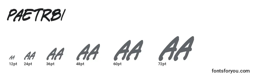 Размеры шрифта Paetrbi