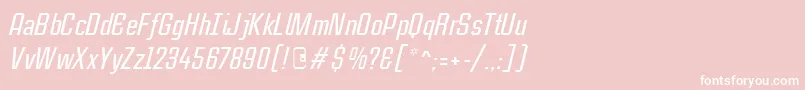 CasestudynooneLtMediumItalic Font – White Fonts on Pink Background