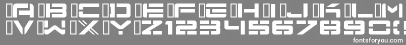 Nu School Munitions Font – White Fonts on Gray Background