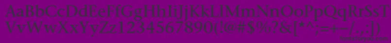 Sonetserif Font – Black Fonts on Purple Background