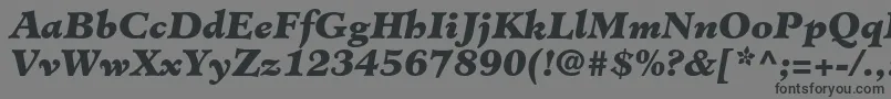 フォントMinisterstdBlackitalic – 黒い文字の灰色の背景