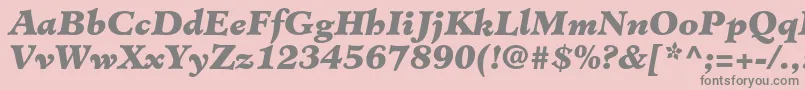 MinisterstdBlackitalic Font – Gray Fonts on Pink Background