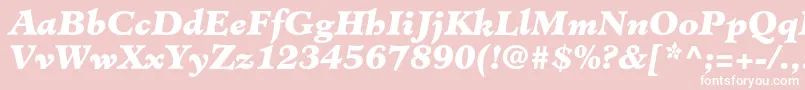 MinisterstdBlackitalic Font – White Fonts on Pink Background