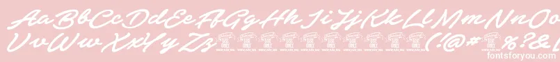 Fonte ElevatePersonaluse – fontes brancas em um fundo rosa