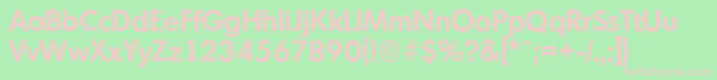 MontrealserialBold Font – Pink Fonts on Green Background