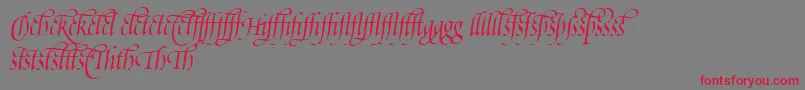 PoeticaSuppLigatures Font – Red Fonts on Gray Background
