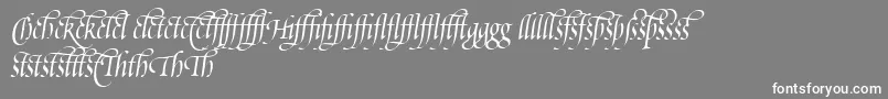 PoeticaSuppLigatures-Schriftart – Weiße Schriften auf grauem Hintergrund