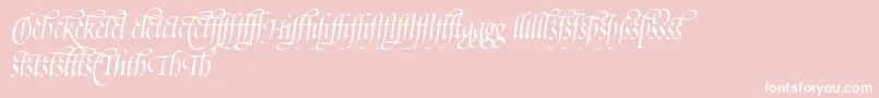 PoeticaSuppLigatures-Schriftart – Weiße Schriften auf rosa Hintergrund