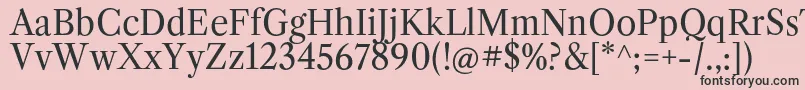 フォントLibrecaslontextRegular – ピンクの背景に黒い文字