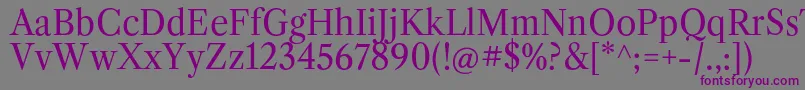 LibrecaslontextRegular Font – Purple Fonts on Gray Background