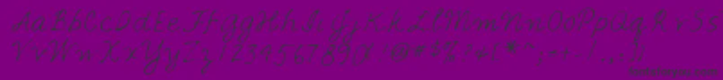 Lehn067 Font – Black Fonts on Purple Background