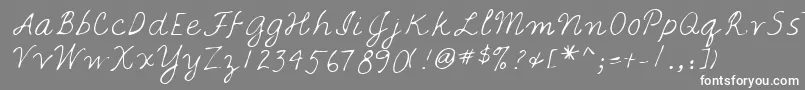Lehn067 Font – White Fonts on Gray Background