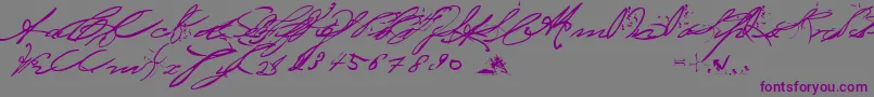 BedtimeStoriesFullVersion Font – Purple Fonts on Gray Background