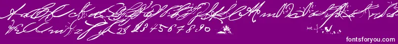 BedtimeStoriesFullVersion Font – White Fonts on Purple Background