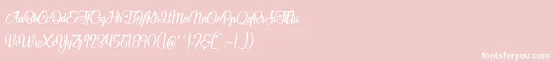 JardinDesBermudes Font – White Fonts on Pink Background