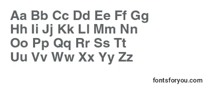 AglettericacBold-fontti