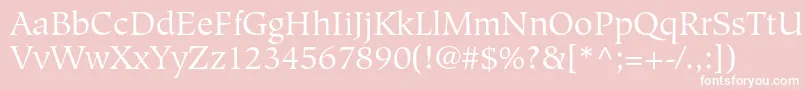 HiroshigestdBook Font – White Fonts on Pink Background