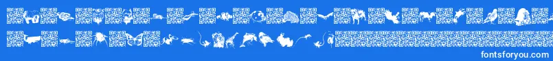 fuente Worldbeings – Fuentes Blancas Sobre Fondo Azul