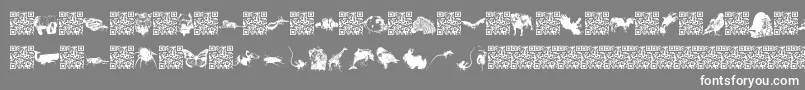 Worldbeings Font – White Fonts on Gray Background